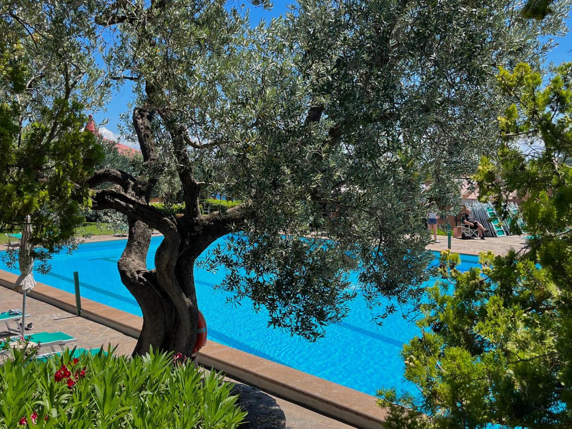 Apartment Porto S. Stefano Elegant House + Swimming Pool Porto Santo Stefano (Grosseto)
